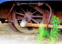 Altes Rad und junges Pflänzchen - Rothendimold, Henschelgelände